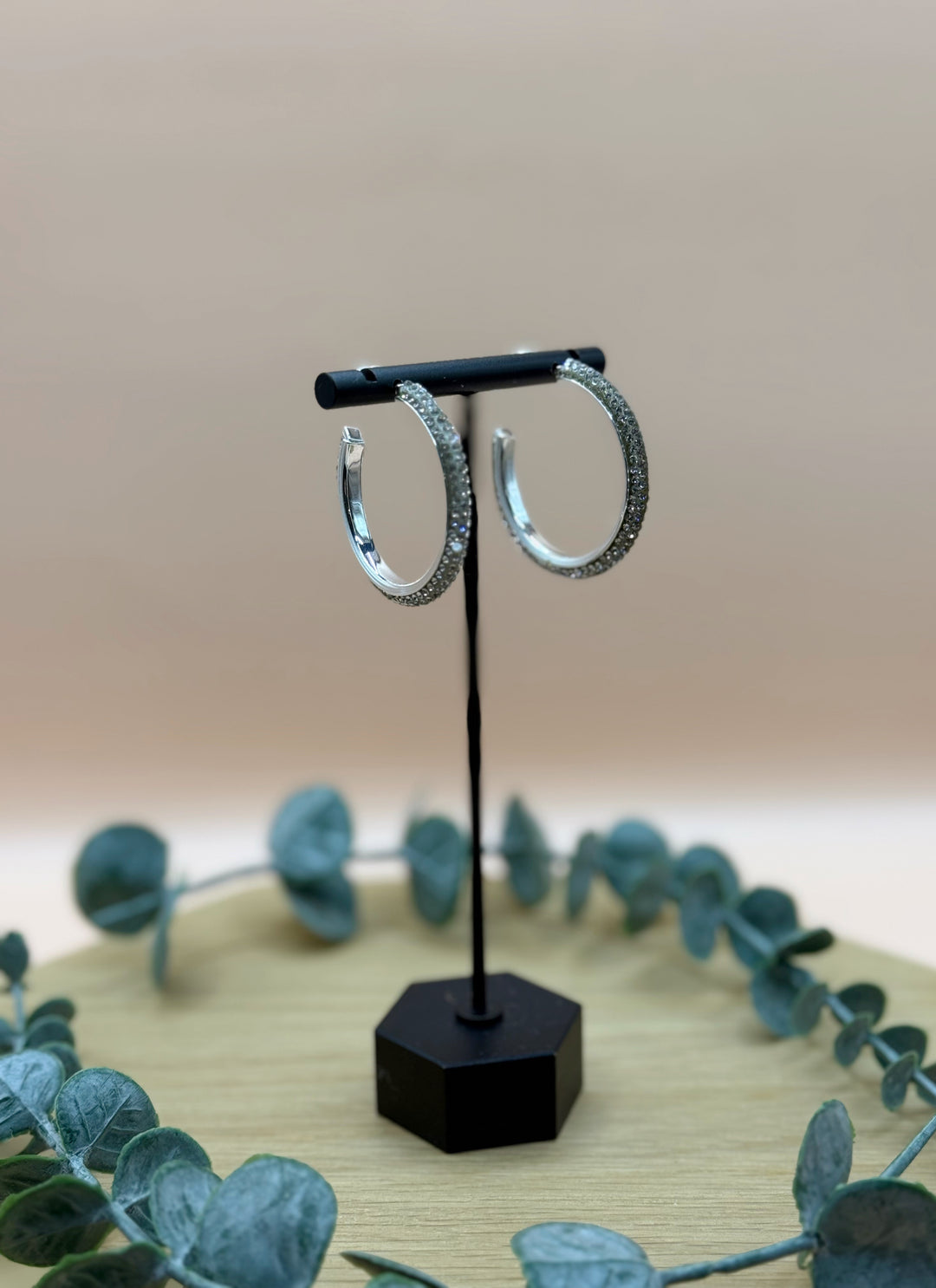Sierra Silver Pave Hoop