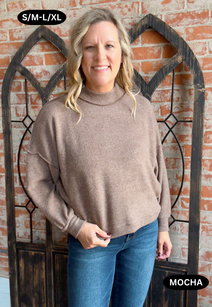 Can't Forget Brushed Mock Neck-4 Colors