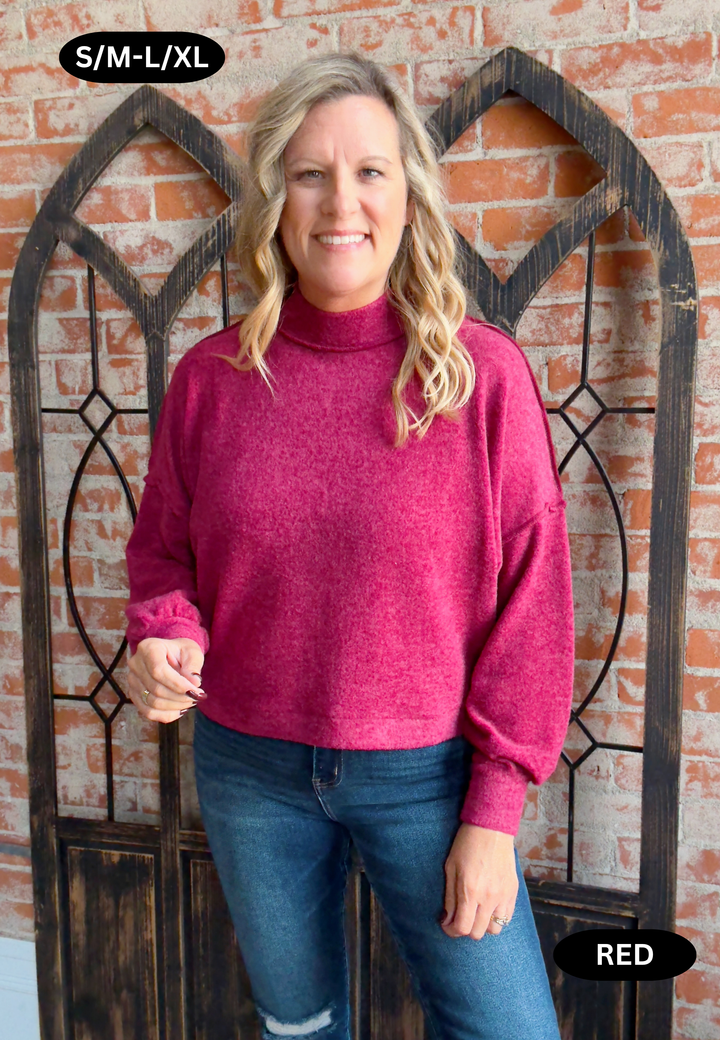 Can't Forget Brushed Mock Neck-4 Colors