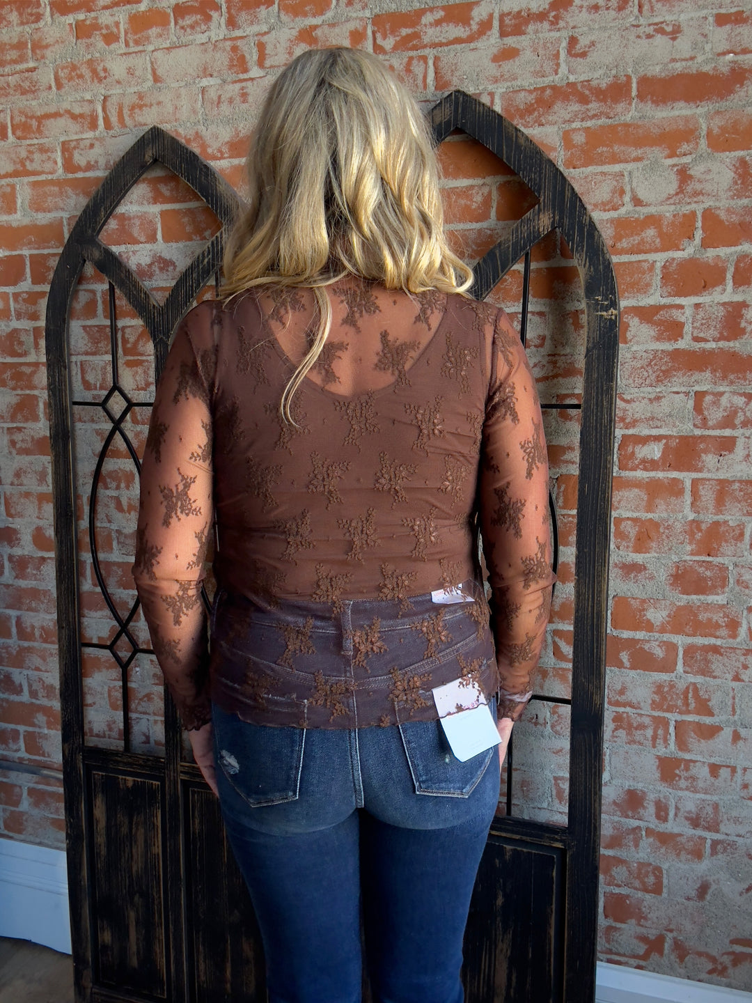 Sheer Desire Lace Sleeve-Brown