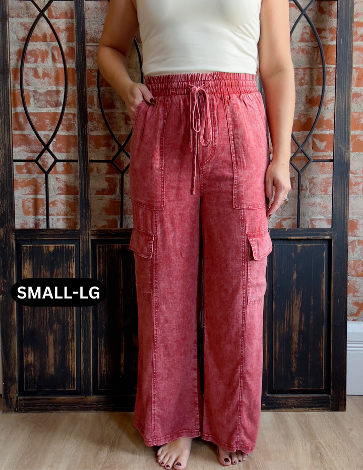 Good Lesson Cargo Pant-Brick