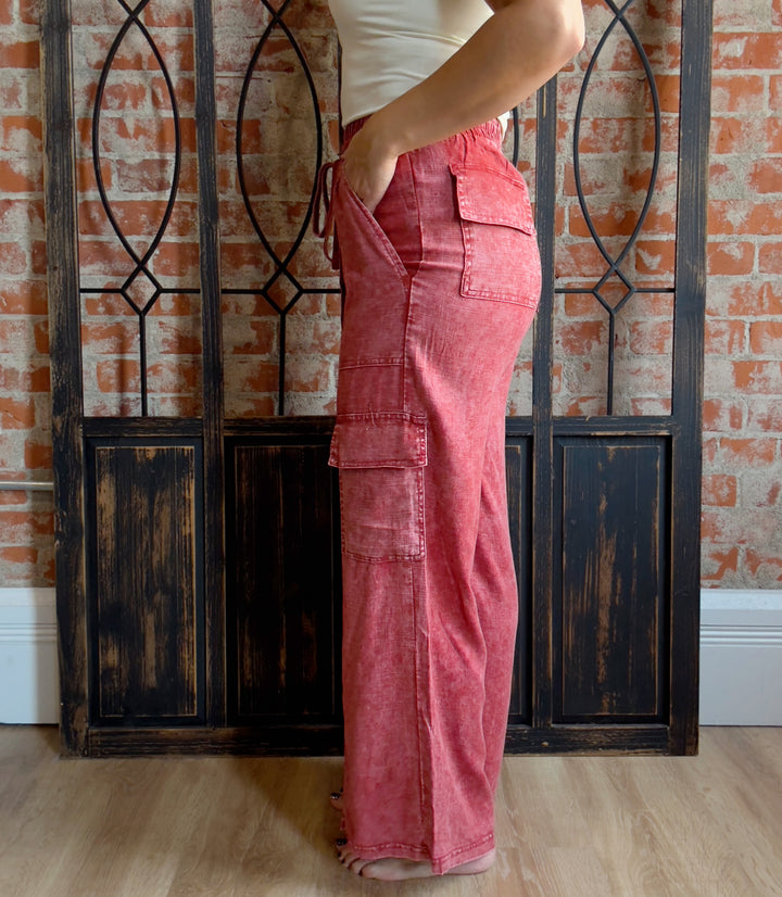 Good Lesson Cargo Pant-Brick