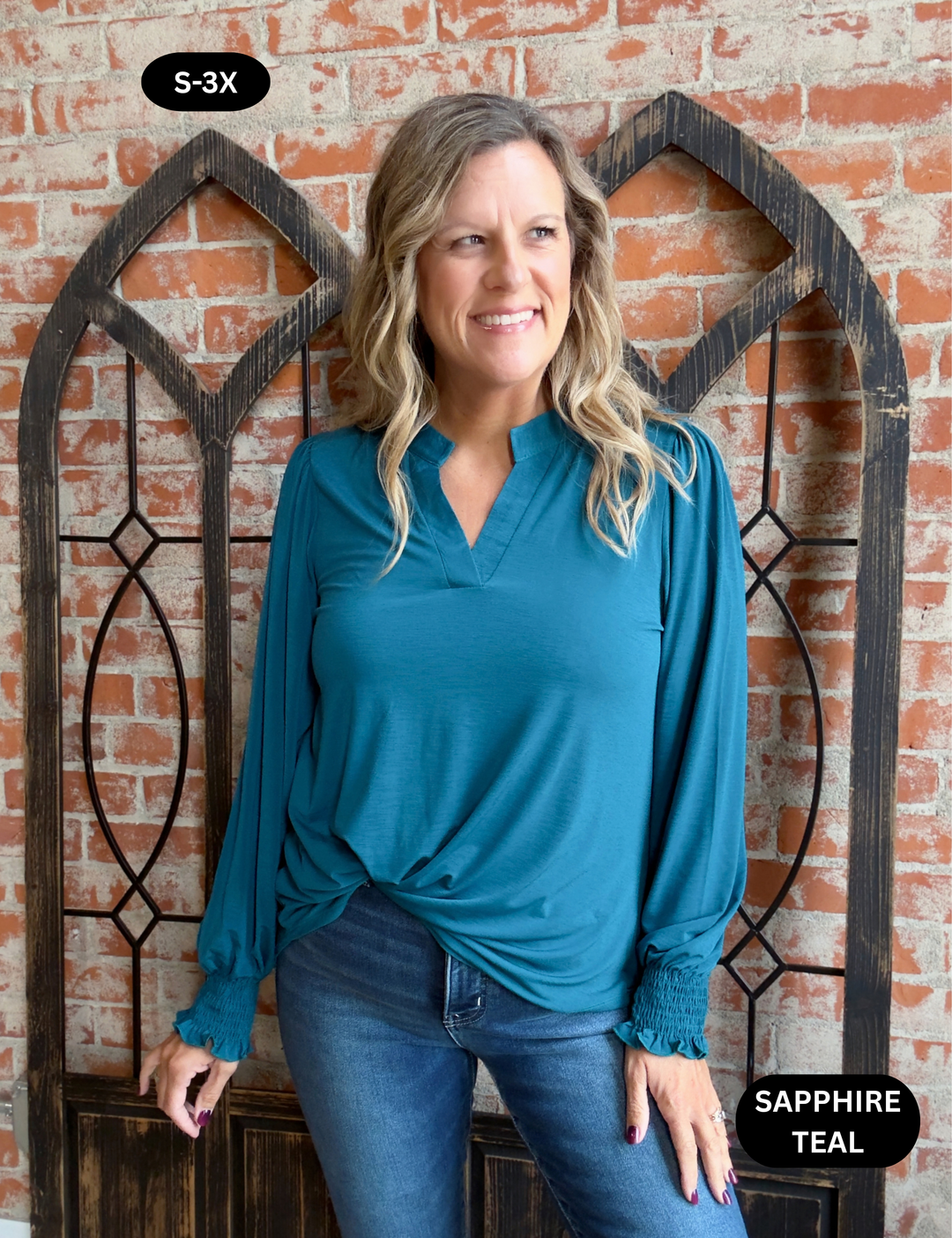 Feeling Qualified Smocked Sleeve Blouse-2 Colors