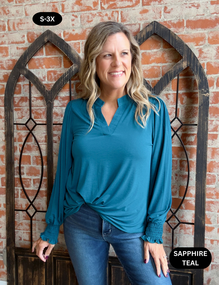 Feeling Qualified Smocked Sleeve Blouse-2 Colors